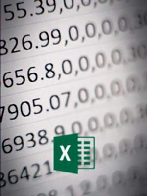Veri Yönetimi(Ms Excel) - 201