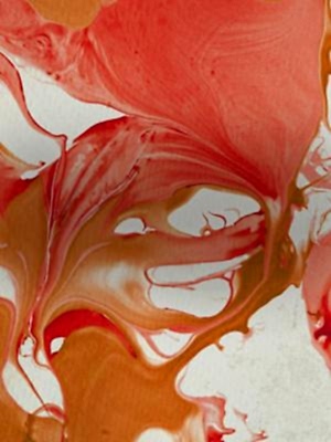 Ebru-202