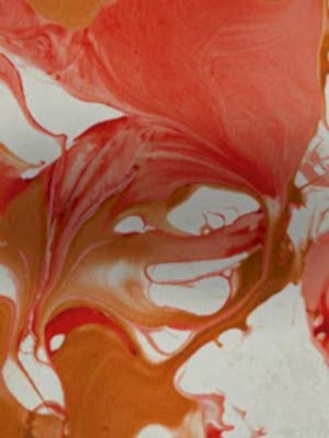 Ebru-201