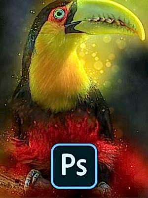 Photoshop ile Görsel Tasarım - 301